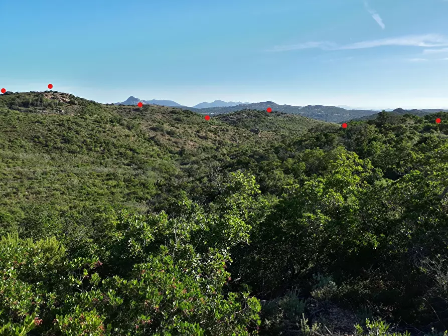 Immagine 19 di Terreno agricolo in vendita  in Loc. Sualza a Tempio Pausania