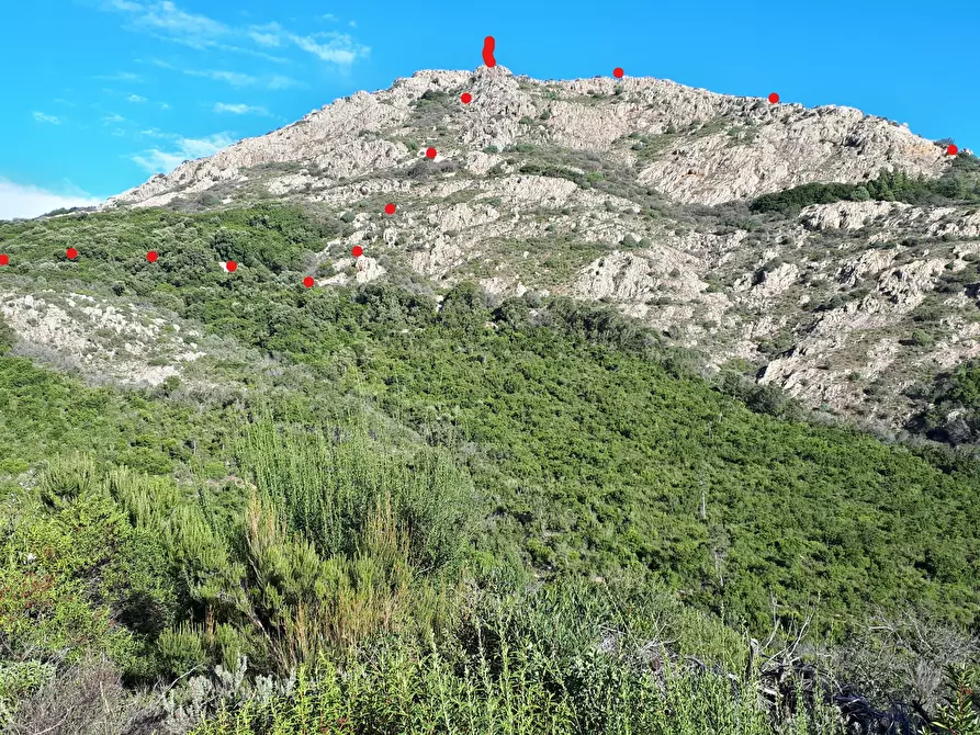 Immagine 21 di Terreno agricolo in vendita  in Loc. Sualza a Tempio Pausania