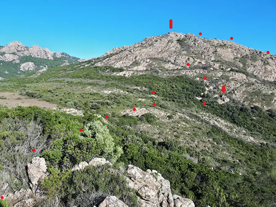 Immagine 22 di Terreno agricolo in vendita  in Loc. Sualza a Tempio Pausania