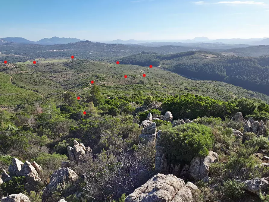 Immagine 23 di Terreno agricolo in vendita  in Loc. Sualza a Tempio Pausania