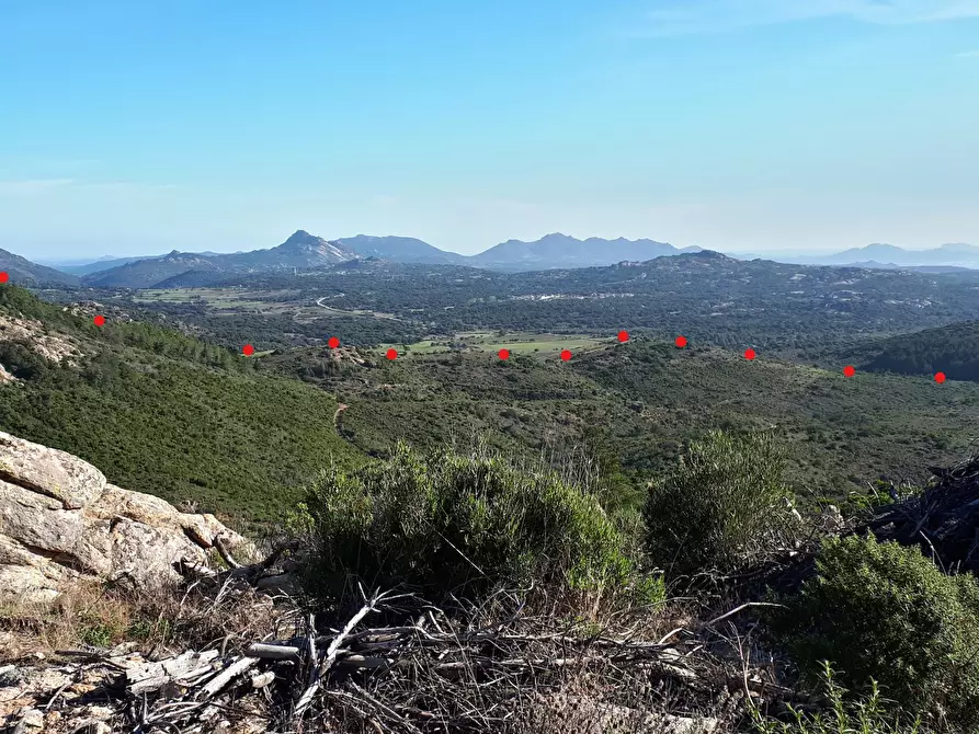 Immagine 24 di Terreno agricolo in vendita  in Loc. Sualza a Tempio Pausania