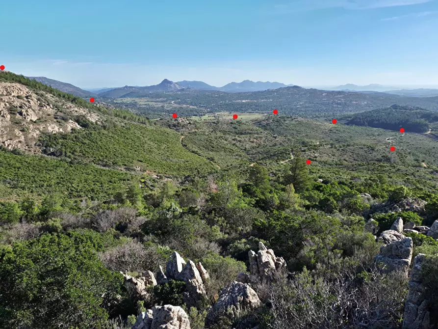 Immagine 25 di Terreno agricolo in vendita  in Loc. Sualza a Tempio Pausania