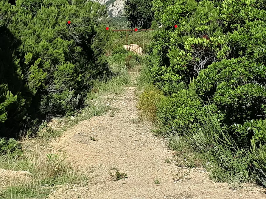 Immagine 26 di Terreno agricolo in vendita  in Loc. Sualza a Tempio Pausania