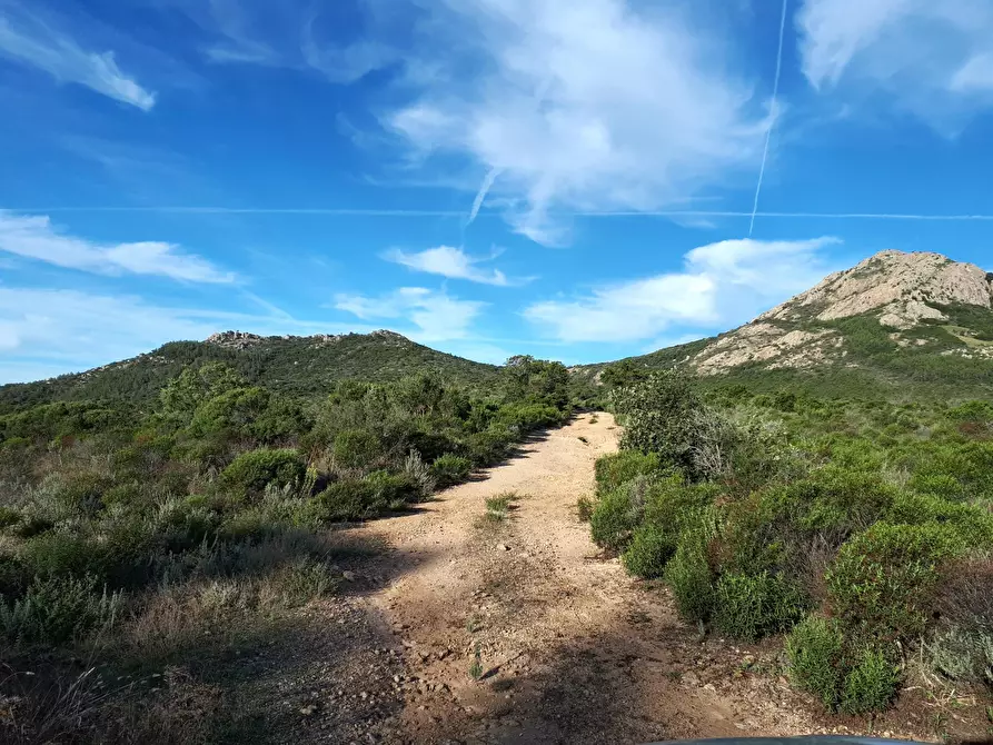 Immagine 27 di Terreno agricolo in vendita  in Loc. Sualza a Tempio Pausania