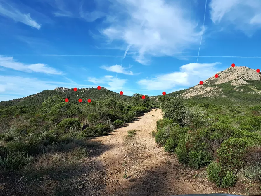 Immagine 28 di Terreno agricolo in vendita  in Loc. Sualza a Tempio Pausania