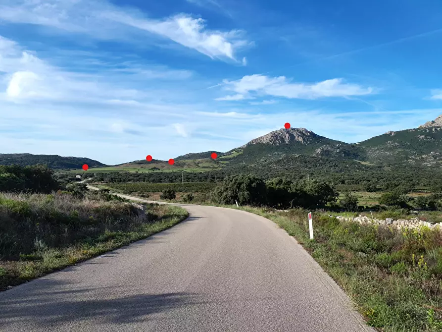Immagine 29 di Terreno agricolo in vendita  in Loc. Sualza a Tempio Pausania