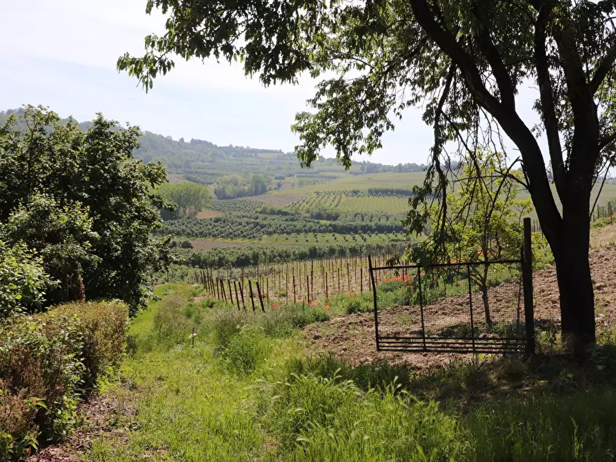 Immagine 17 di Rustico / casale in vendita  in Strada Nosserio 25 a Costigliole D'asti