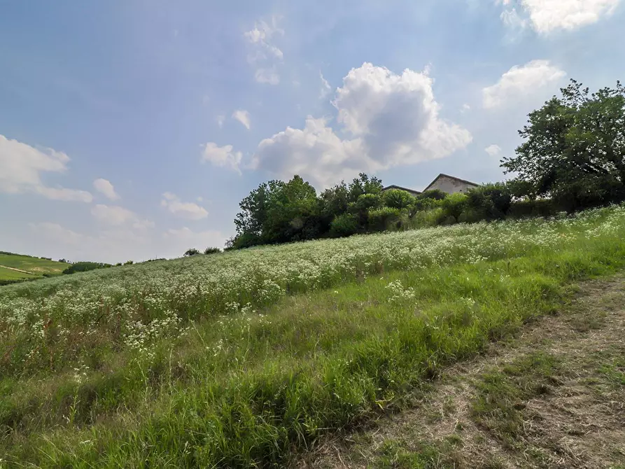 Immagine 33 di Rustico / casale in vendita  in Strada Nosserio 25 a Costigliole D'asti