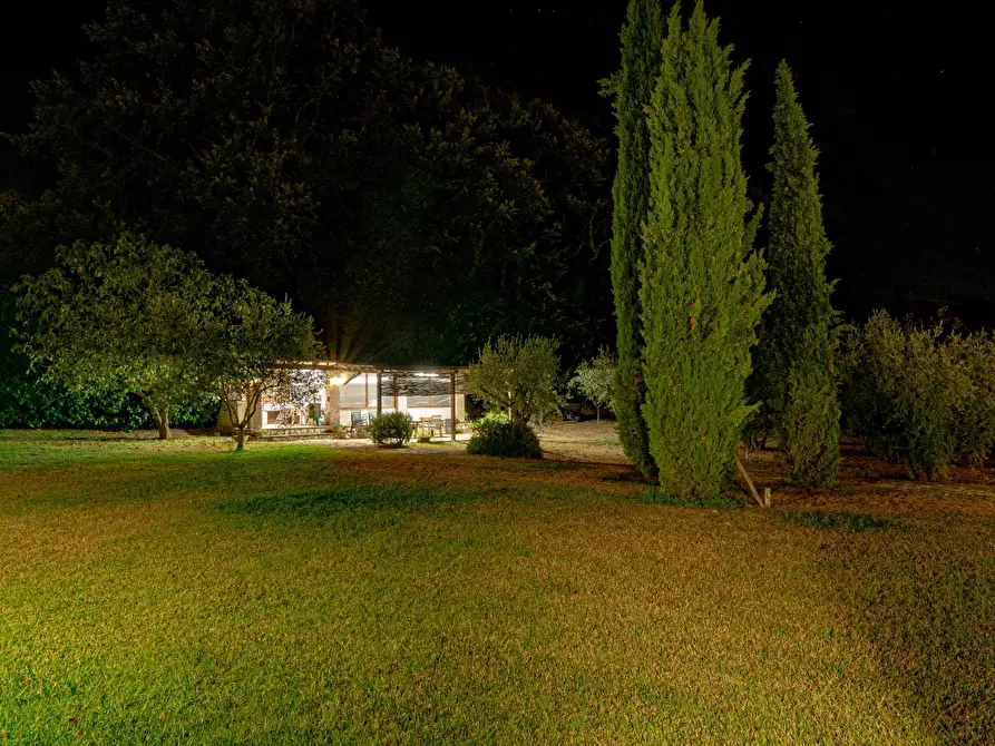 Immagine 103 di Villa in vendita  in Strada Vicinale Valle Rote snc a Bassano In Teverina