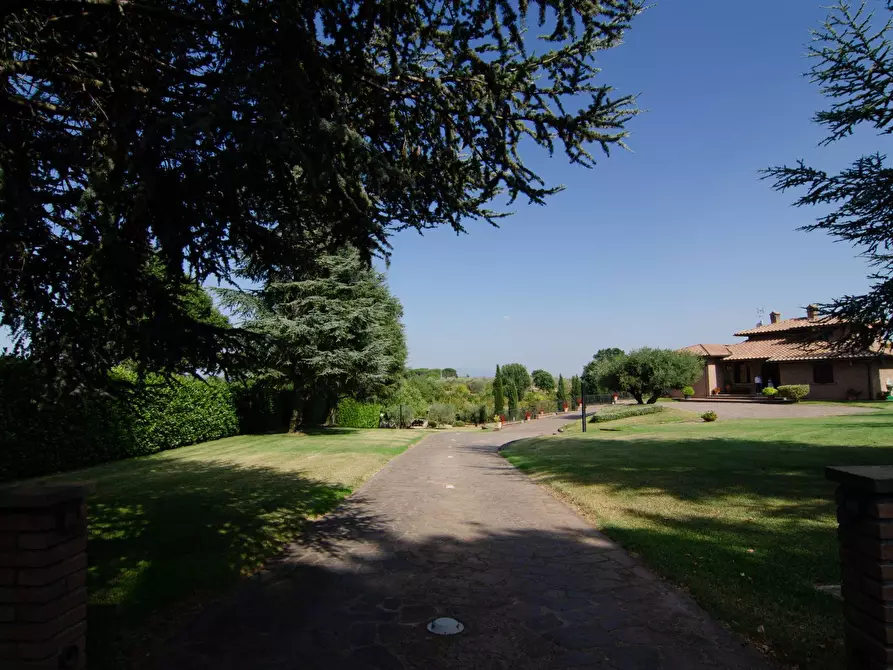 Immagine 39 di Villa in vendita  in Strada Vicinale Valle Rote snc a Bassano In Teverina