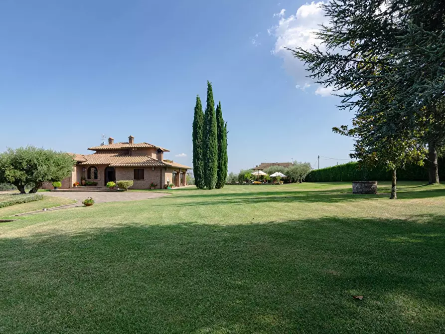 Immagine 23 di Villa in vendita  in Strada Vicinale Valle Rote snc a Bassano In Teverina
