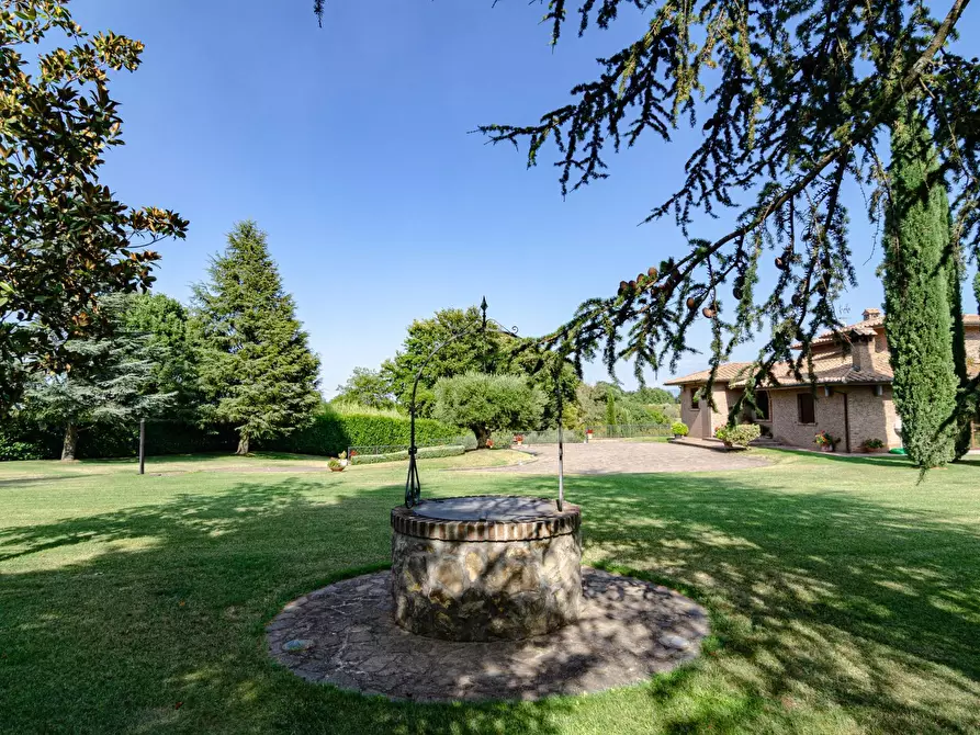 Immagine 24 di Villa in vendita  in Strada Vicinale Valle Rote snc a Bassano In Teverina