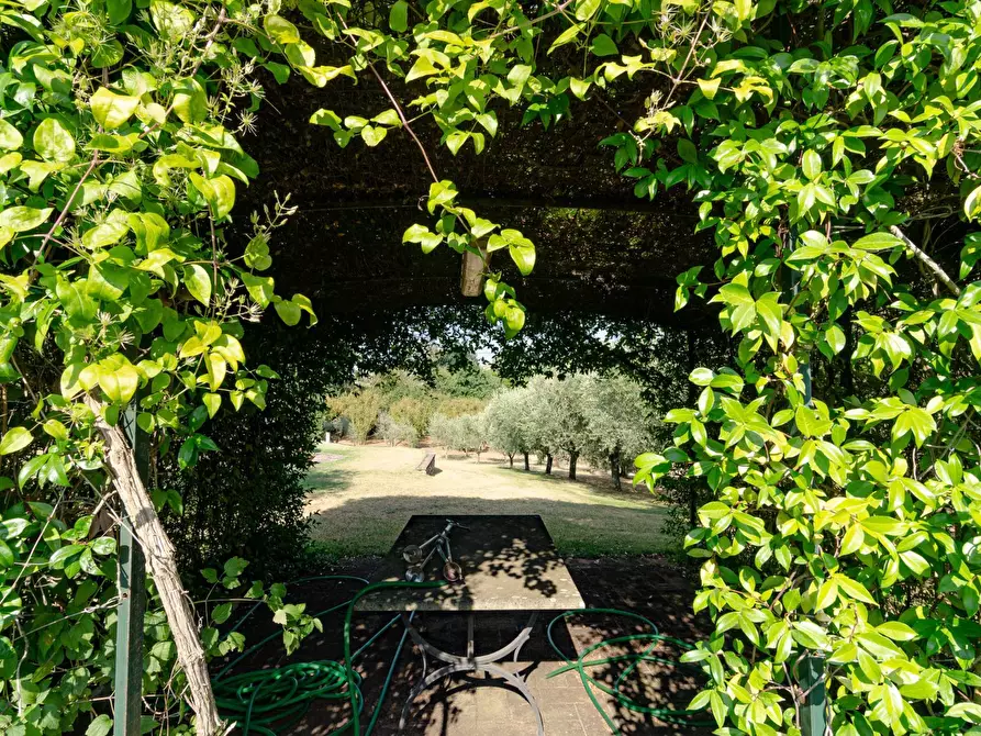 Immagine 43 di Villa in vendita  in Strada Vicinale Valle Rote snc a Bassano In Teverina