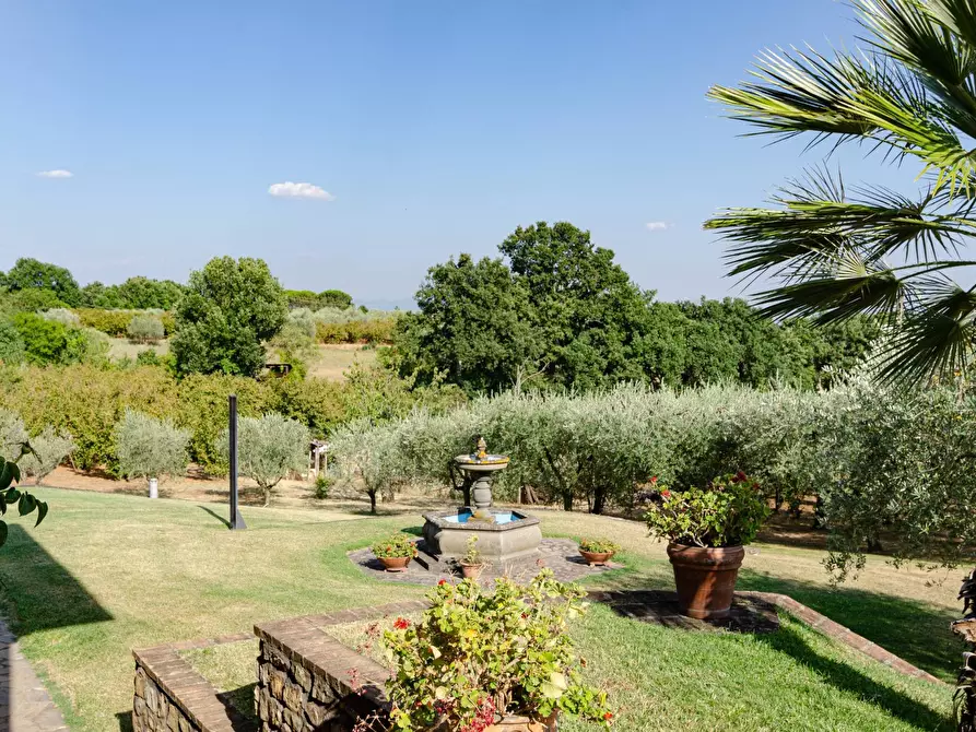 Immagine 28 di Villa in vendita  in Strada Vicinale Valle Rote snc a Bassano In Teverina