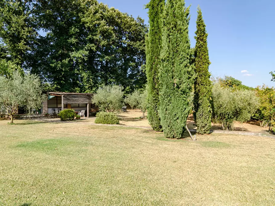 Immagine 45 di Villa in vendita  in Strada Vicinale Valle Rote snc a Bassano In Teverina