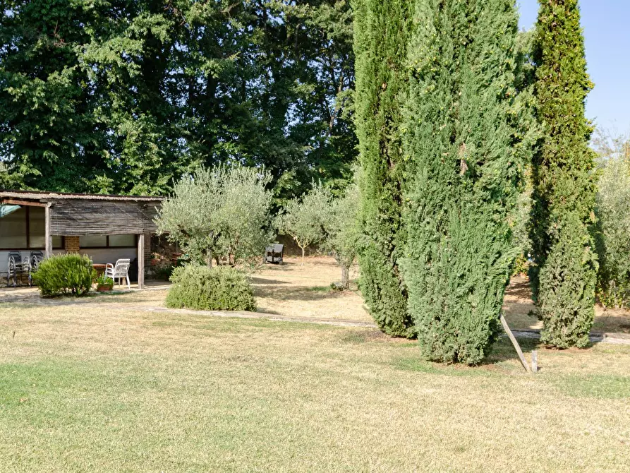 Immagine 46 di Villa in vendita  in Strada Vicinale Valle Rote snc a Bassano In Teverina
