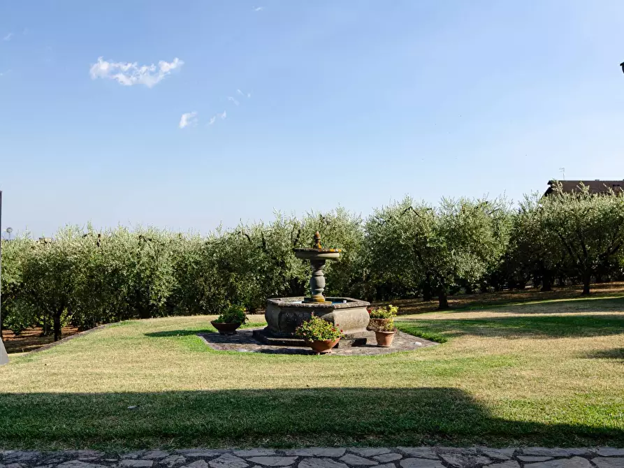 Immagine 48 di Villa in vendita  in Strada Vicinale Valle Rote snc a Bassano In Teverina