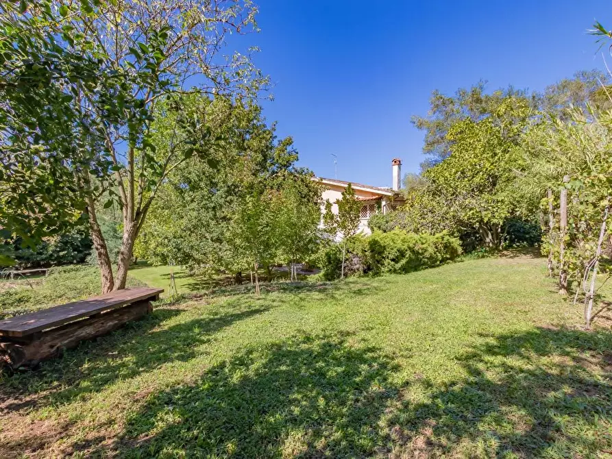 Immagine 49 di Villa in vendita  in Via Campagnanese 6 a Campagnano Di Roma