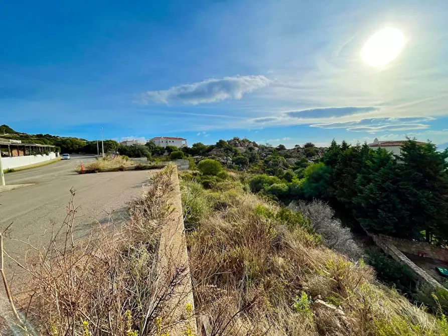 Immagine 12 di Terreno residenziale in vendita  in via li scali a Arzachena