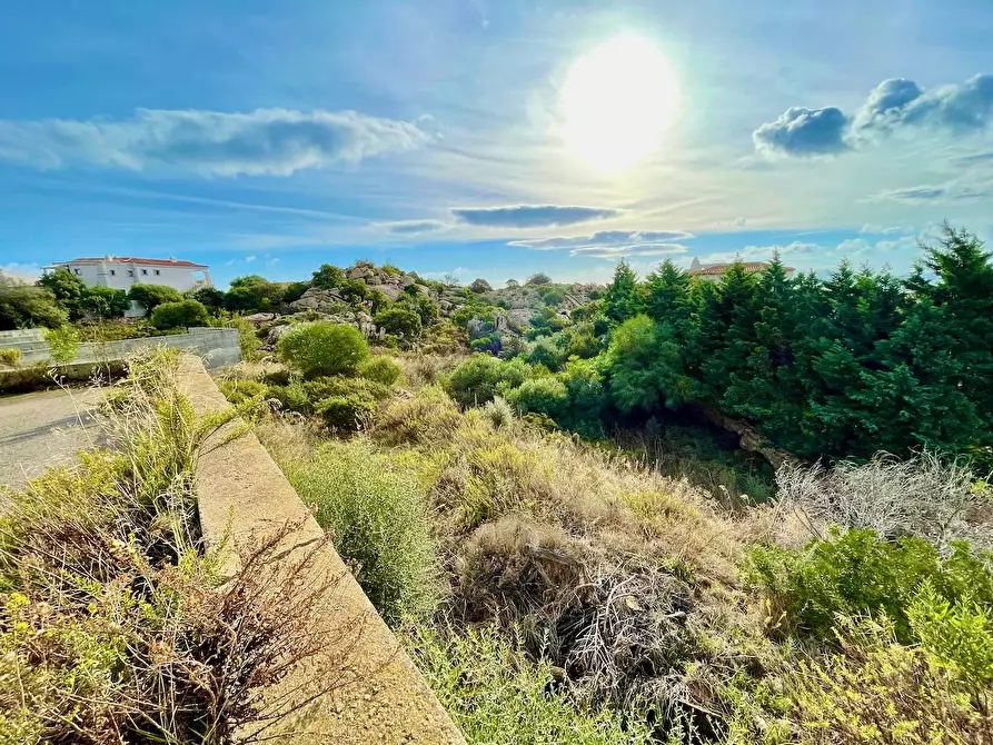 Immagine 8 di Terreno residenziale in vendita  in via li scali a Arzachena