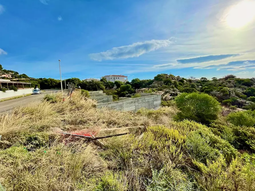 Immagine 3 di Terreno residenziale in vendita  in via li scali a Arzachena