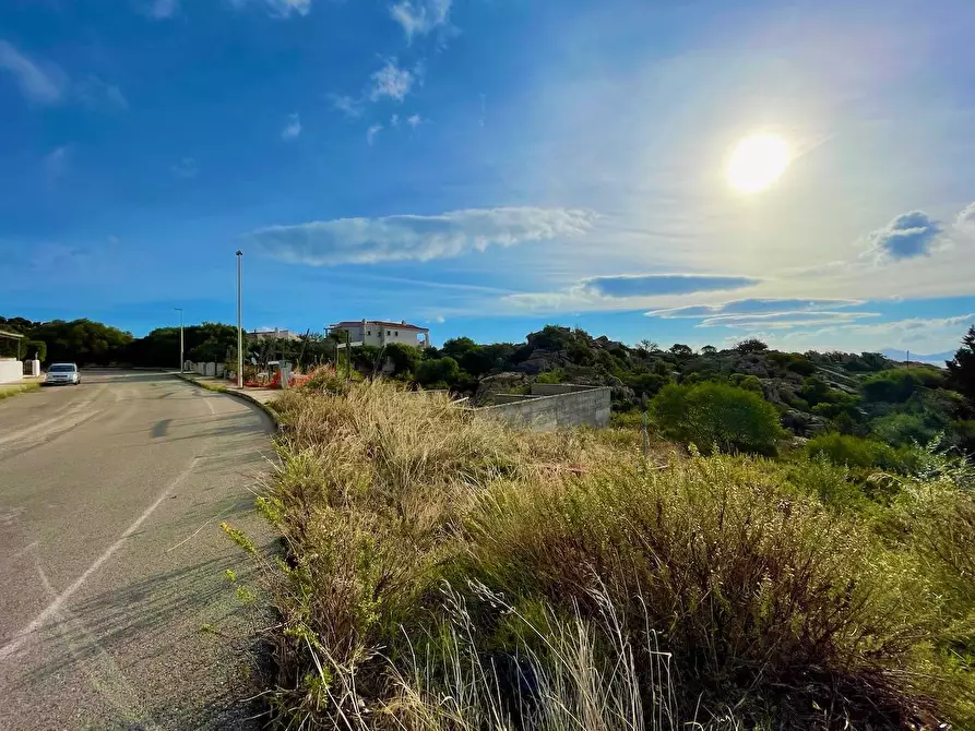 Immagine 14 di Terreno residenziale in vendita  in via li scali a Arzachena