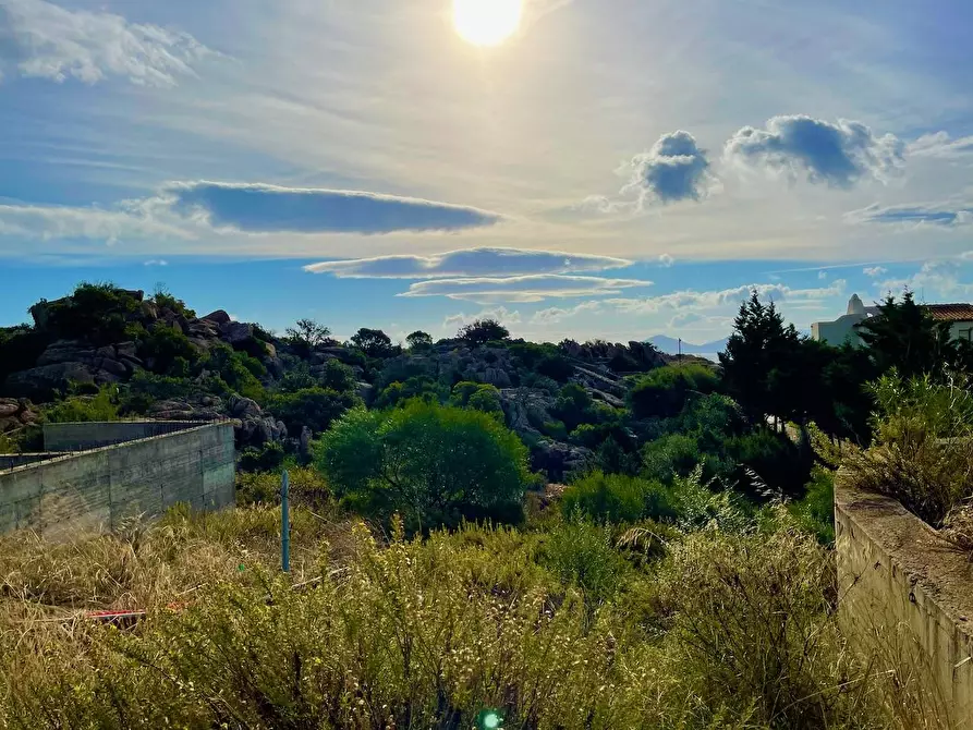 Immagine 15 di Terreno residenziale in vendita  in via li scali a Arzachena