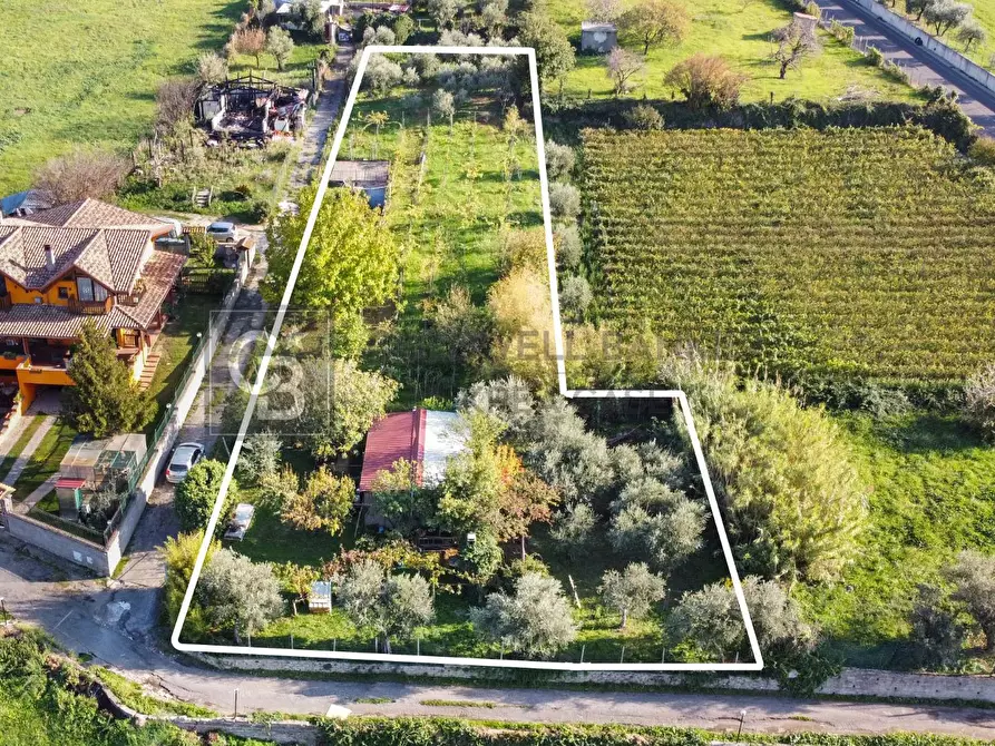 Immagine 2 di Terreno agricolo in vendita  in Via Castel de Paolis 39 a Grottaferrata