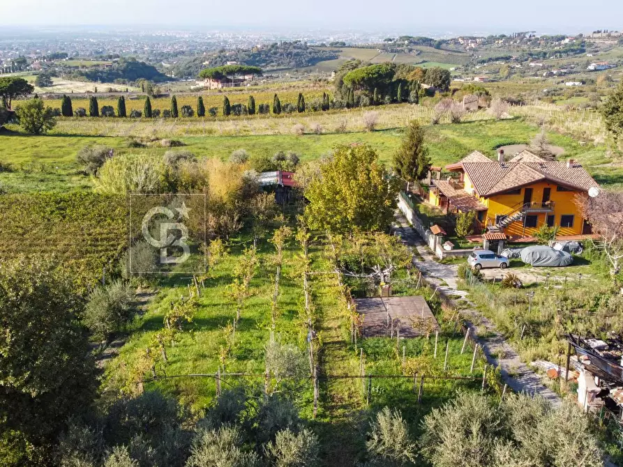 Immagine 5 di Terreno agricolo in vendita  in Via Castel de Paolis 39 a Grottaferrata