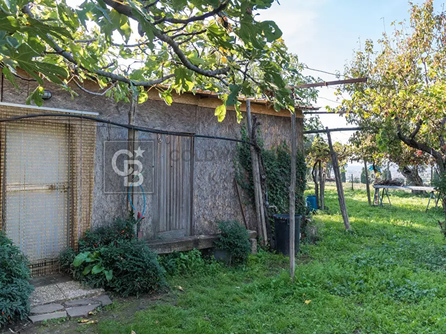 Immagine 7 di Terreno agricolo in vendita  in Via Castel de Paolis 39 a Grottaferrata