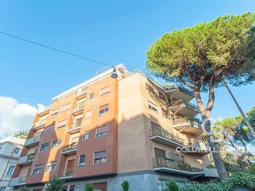 Immagine 21 di Ufficio in affitto  in Via Gaetano Donizetti a Roma