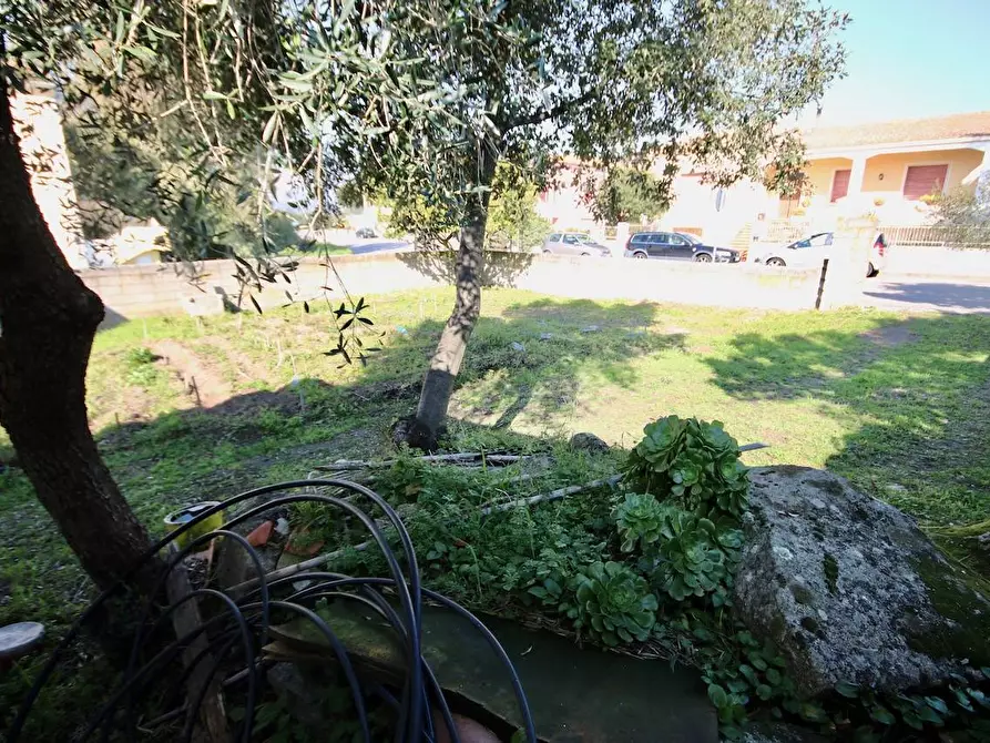 Immagine 6 di Terreno residenziale in vendita  in VIA MONTESSORI 2 a Aggius