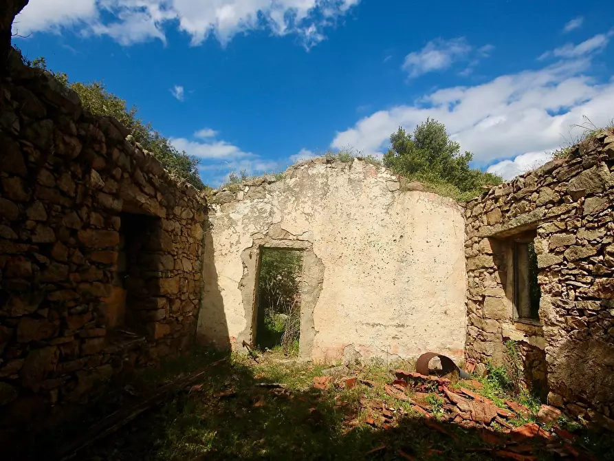 Immagine 3 di Terreno agricolo in vendita  in strada statale a Aggius