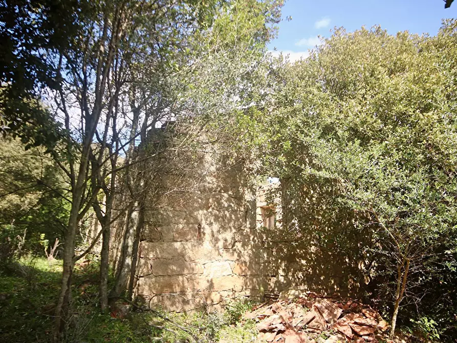 Immagine 7 di Terreno agricolo in vendita  in strada statale a Aggius