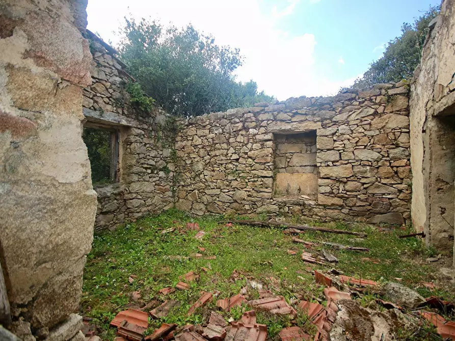 Immagine 19 di Terreno agricolo in vendita  in strada statale a Aggius
