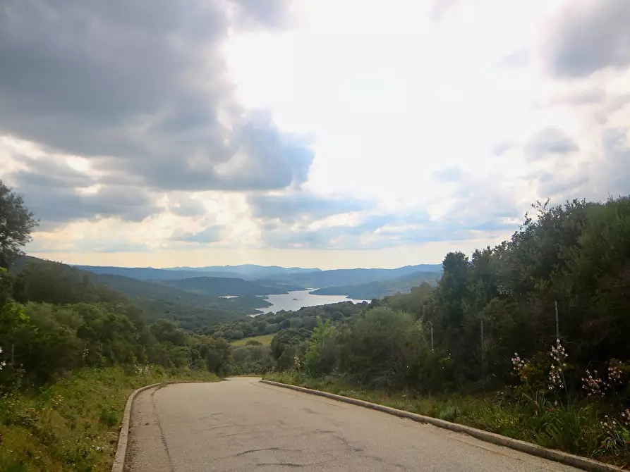 Immagine 21 di Terreno agricolo in vendita  in strada statale a Aggius