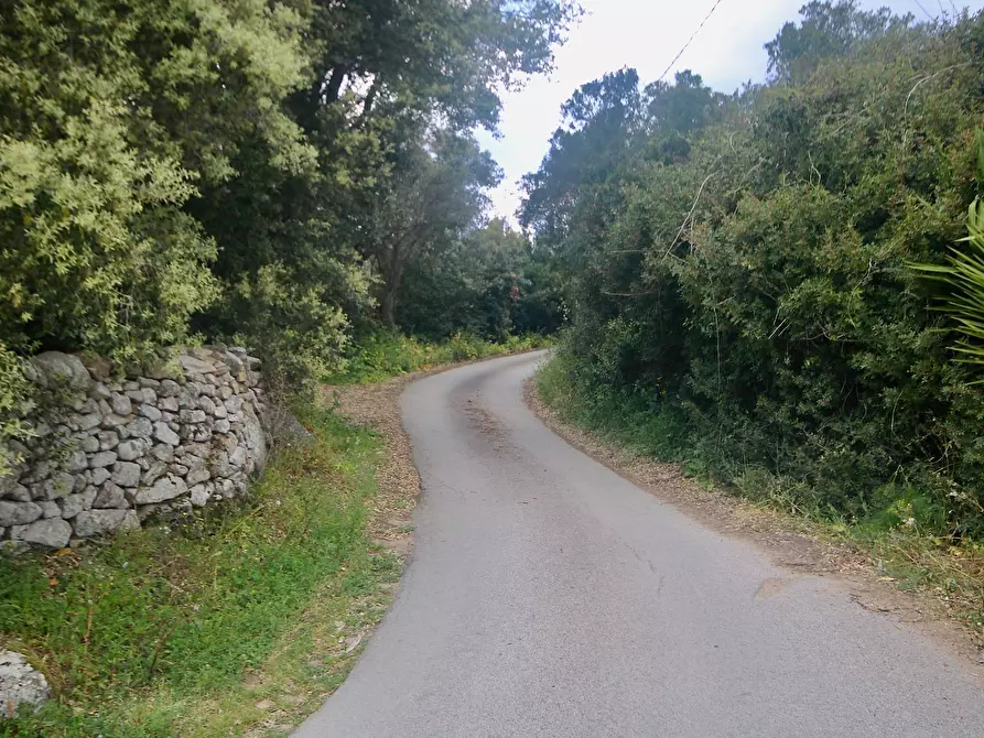 Immagine 49 di Rustico / casale in vendita  in strada statale snc a Aggius