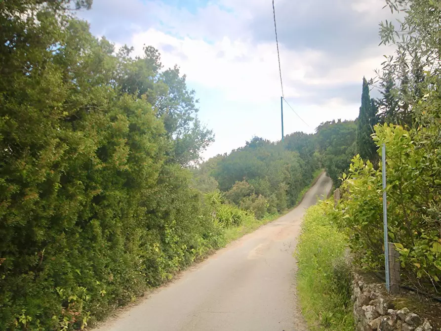 Immagine 42 di Rustico / casale in vendita  in strada statale snc a Aggius