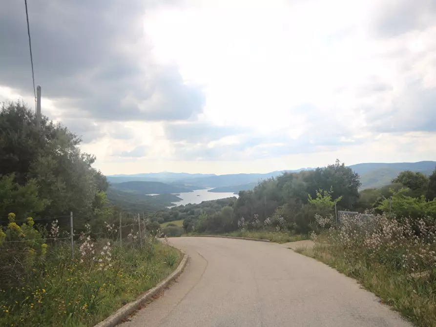 Immagine 35 di Rustico / casale in vendita  in strada statale snc a Aggius
