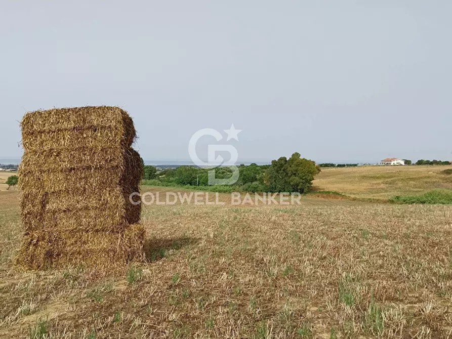 Immagine 4 di Rustico / casale in vendita  in Località Fontanil della Torre snc a Tarquinia