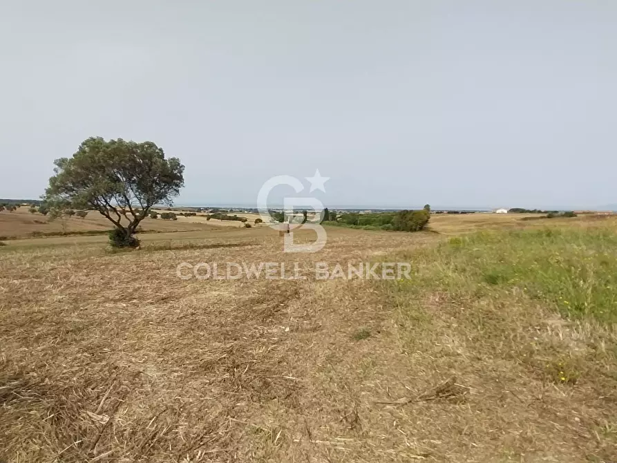 Immagine 12 di Rustico / casale in vendita  in Località Fontanil della Torre snc a Tarquinia