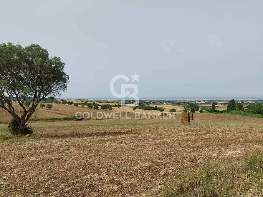 Immagine 1 di Rustico / casale in vendita  in Località Fontanil della Torre snc a Tarquinia