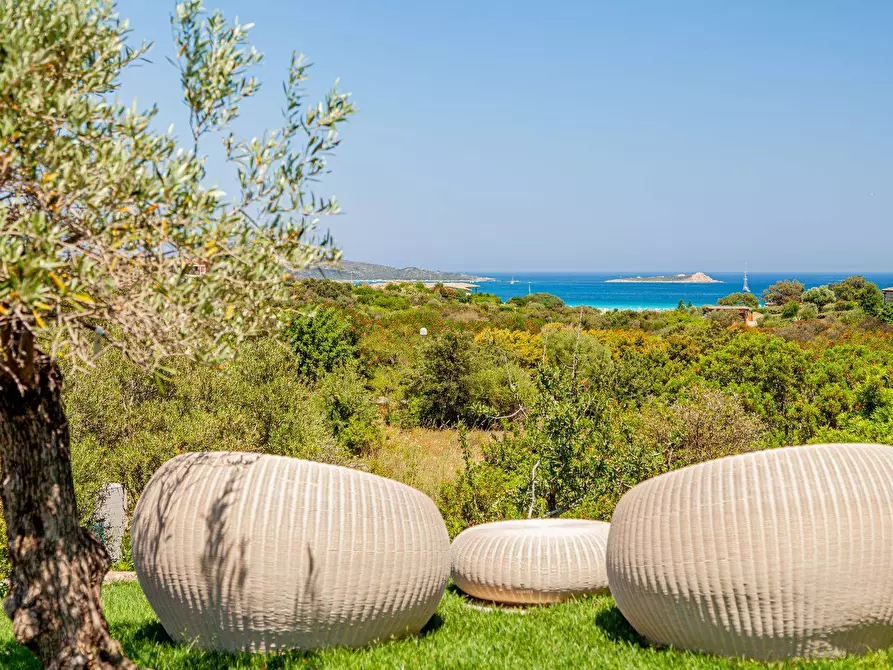 Immagine 25 di Villa in affitto  in Puntaldia a San Teodoro