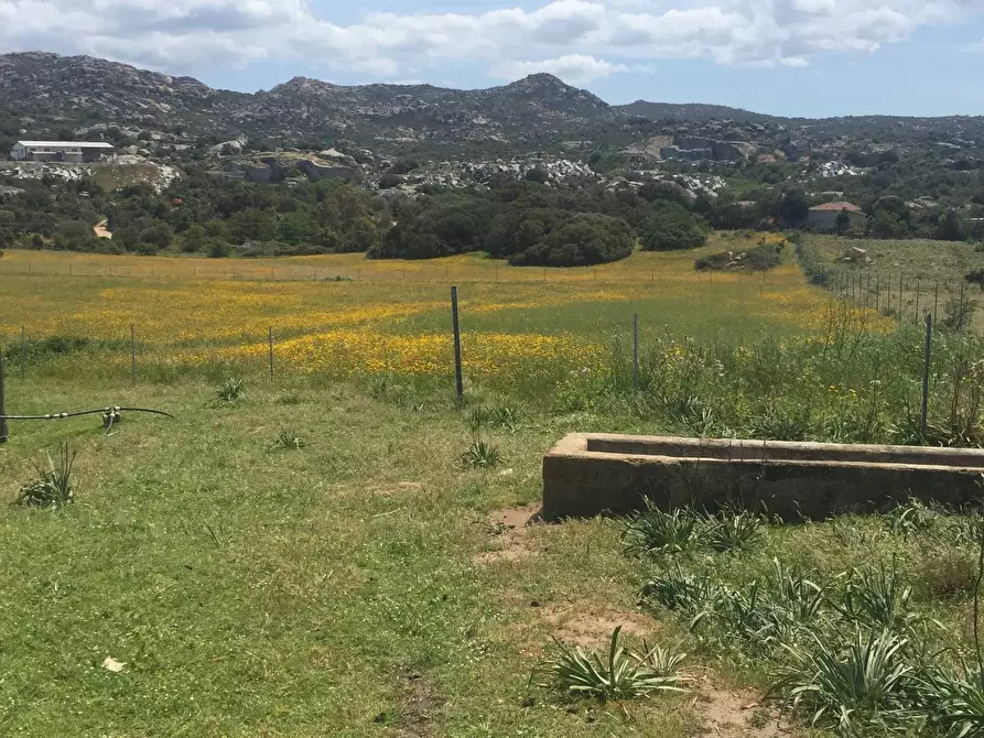 Immagine 8 di Attività commerciale in vendita  in Località Nicola Calta snc a Aggius