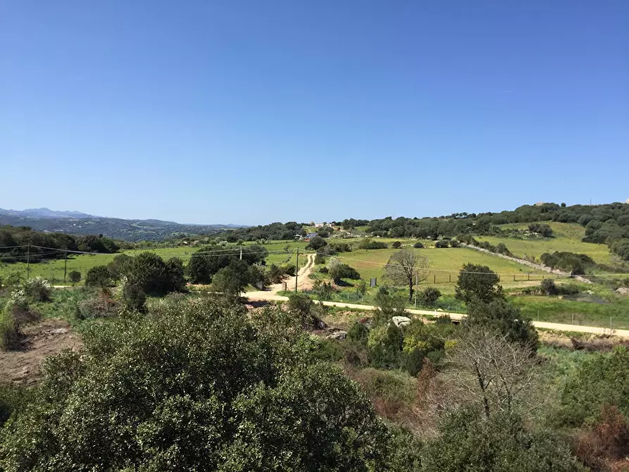 Immagine 17 di Attività commerciale in vendita  in Località Nicola Calta snc a Aggius