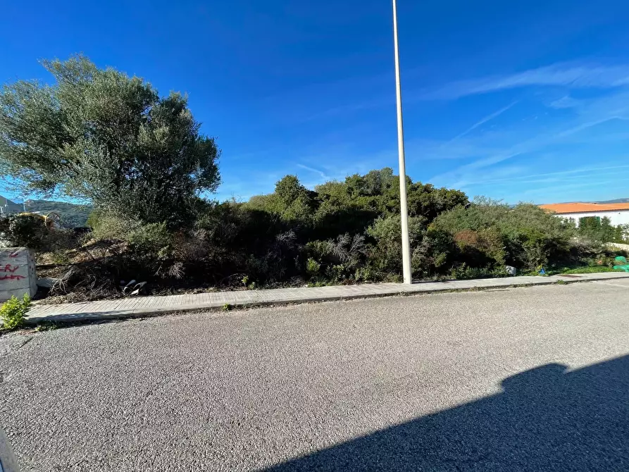 Immagine 1 di Terreno residenziale in vendita  in CUGNANA FIORI LOIRI S.N. a Aggius