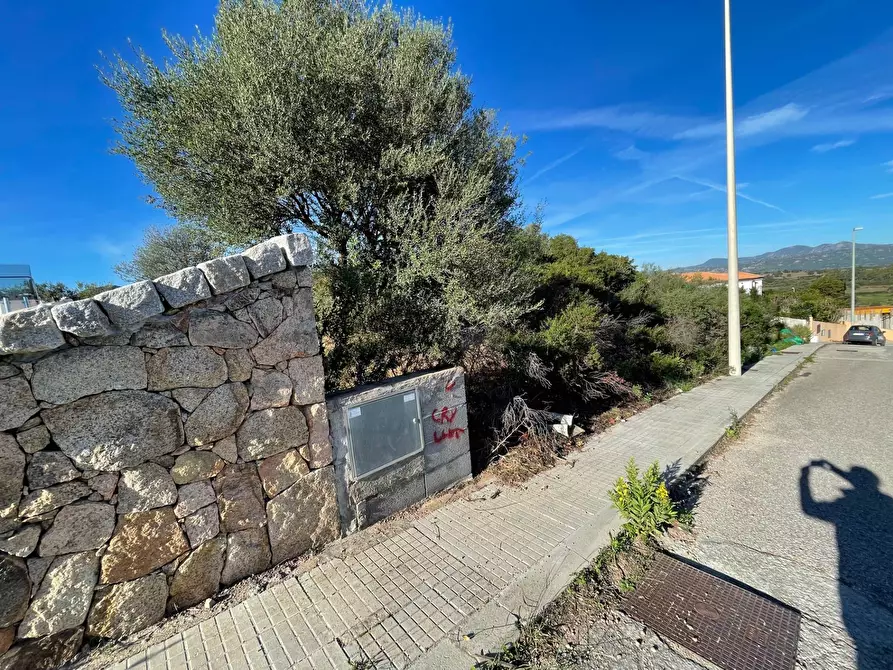 Immagine 2 di Terreno residenziale in vendita  in CUGNANA FIORI LOIRI S.N. a Aggius