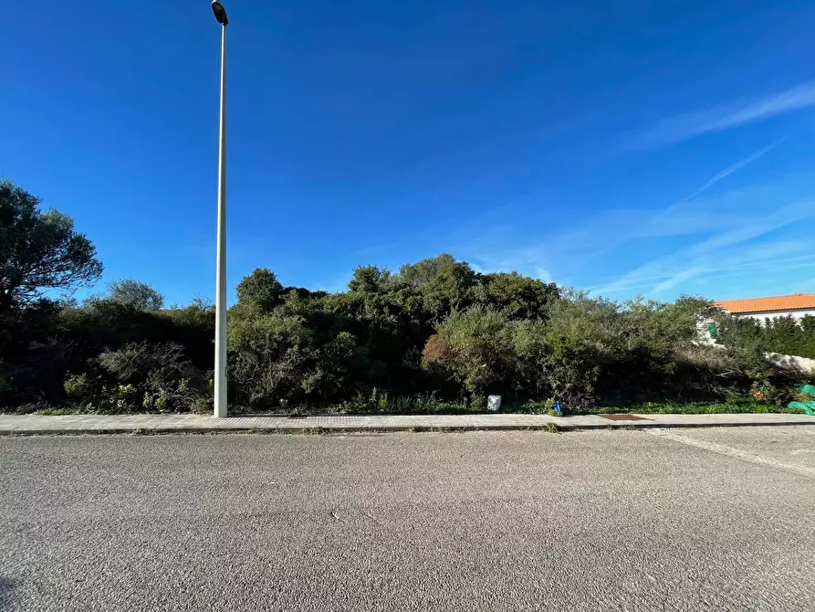 Immagine 3 di Terreno residenziale in vendita  in CUGNANA FIORI LOIRI S.N. a Aggius