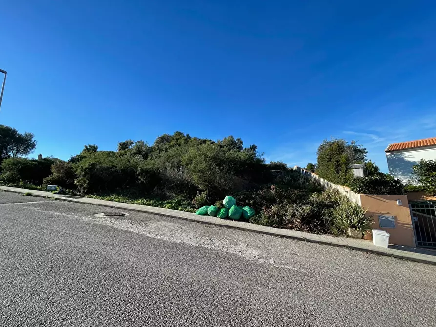 Immagine 4 di Terreno residenziale in vendita  in CUGNANA FIORI LOIRI S.N. a Aggius