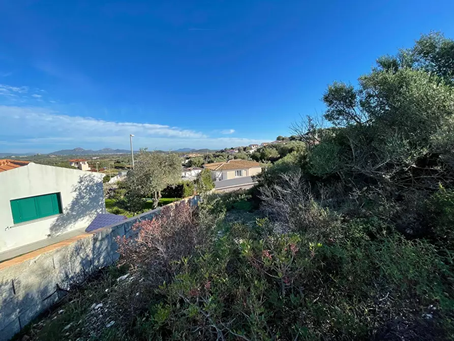 Immagine 5 di Terreno residenziale in vendita  in CUGNANA FIORI LOIRI S.N. a Aggius